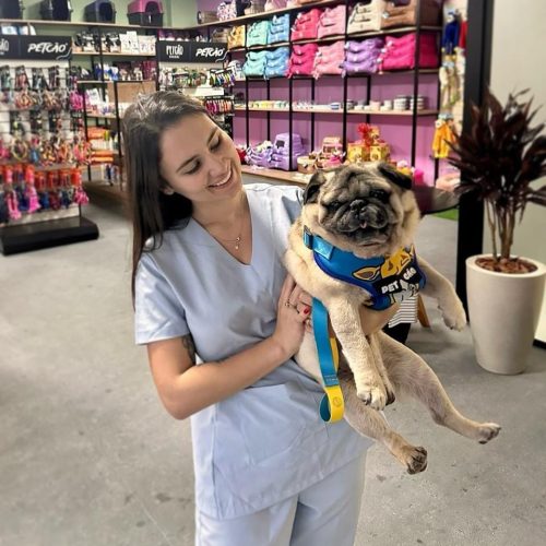 🐾 Um cão é um amor para a vida. Eles podem não durar vivos eternamente, mas o amor e a presença